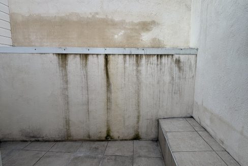 IMG_8205